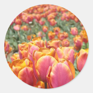 Tulip Flowers stickers Envelope seals Spring