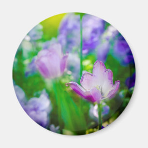 Tulip garden, Giverny, France Magnet