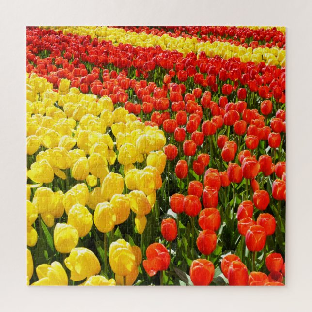 Tulip garden jigsaw puzzle (Vertical)