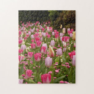 Tulip garden! jigsaw puzzle