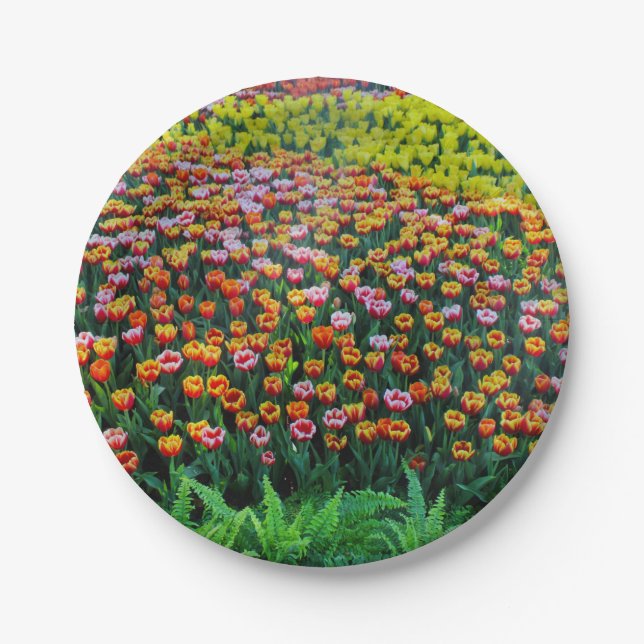 Tulip Garden Paper Plate (Front)
