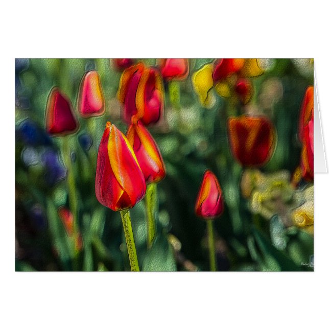 Tulip Garden Textured (Front Horizontal)