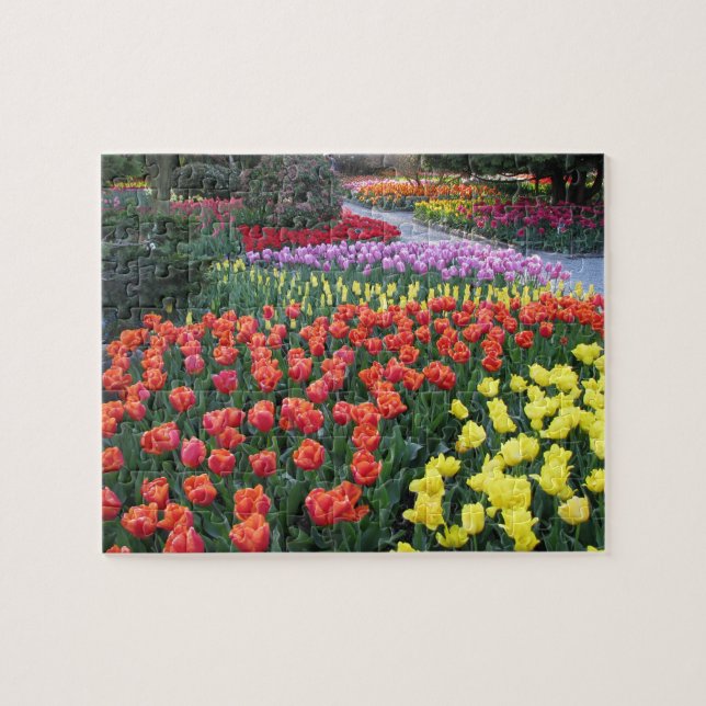 Tulip Gardens Jigsaw Puzzle (Horizontal)