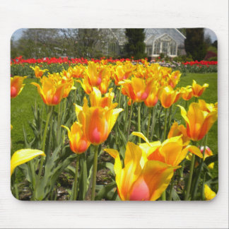 Tulip Gardens Mouse Pad