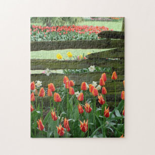 Tulip Gardens Puzzle, 11" x 14", 252 pieces Jigsaw Puzzle