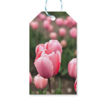 TULIP GIFT TAGS
