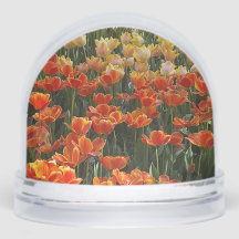 Tulip Globe des neiges
