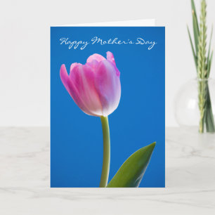 Tulip, Happy Mother's Day Card