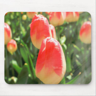 Tulip Heaven Mouse Pad