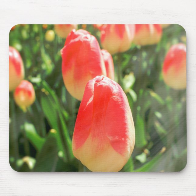 Tulip Heaven Mouse Pad (Front)