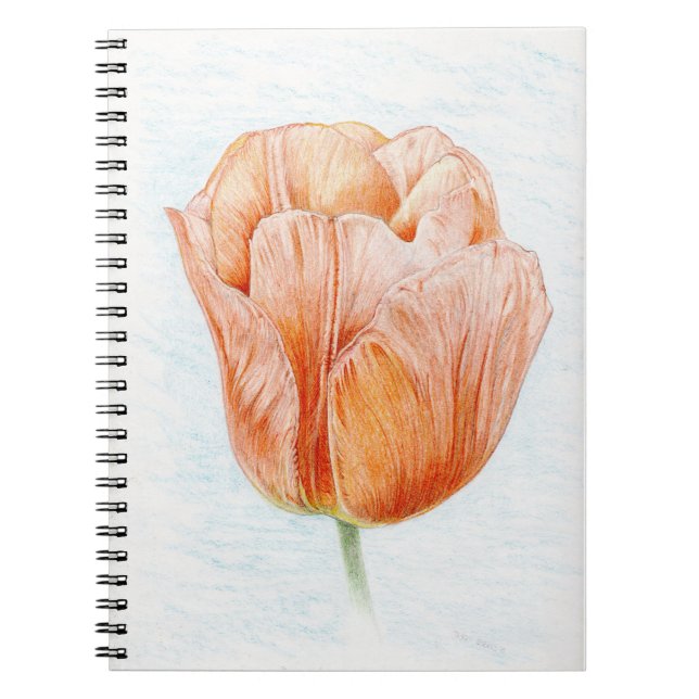 Tulip in Peach Notebook (Front)