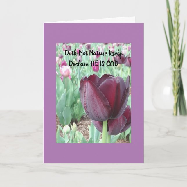 Tulip Louer les chansons de carte du lever du sole (Devant)