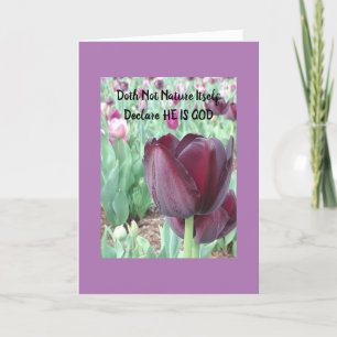 Tulip Louer les chansons de carte du lever du sole