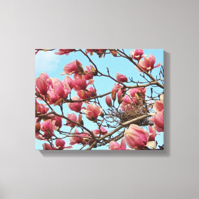 Tulip Magnolia tree with Birdsnest on Canvas (Front)