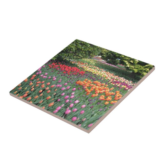 TULIP MEADOW TILE (Side)