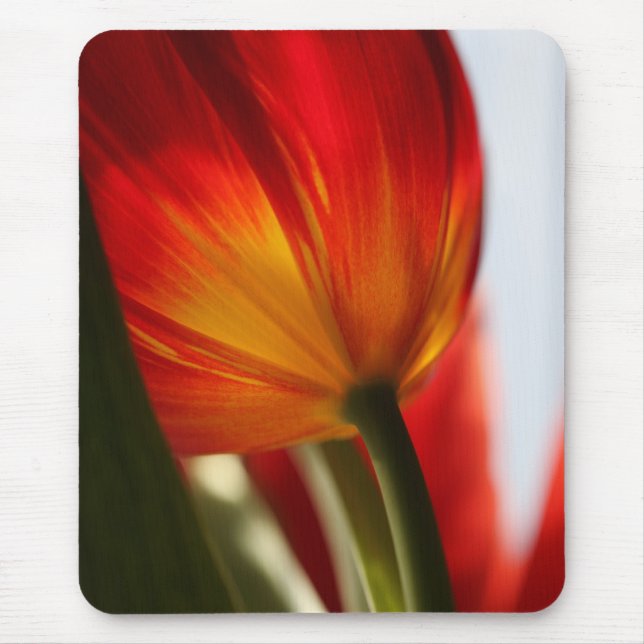 Tulip Mouse Pad (Front)