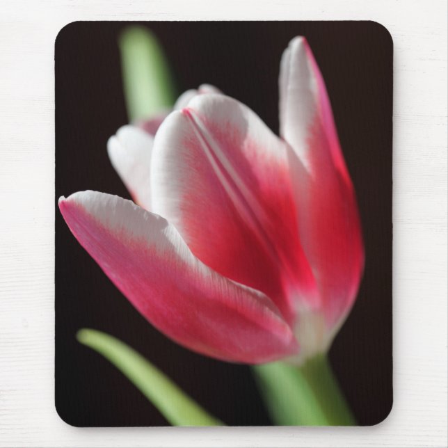Tulip Mouse Pad (Front)