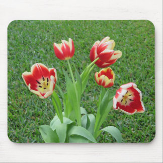 Tulip mousepad