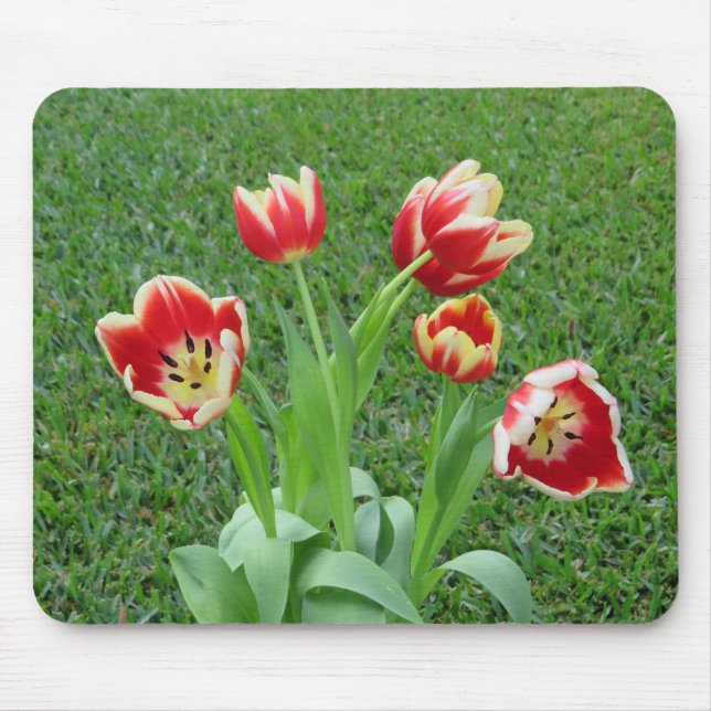 Tulip mousepad (Front)