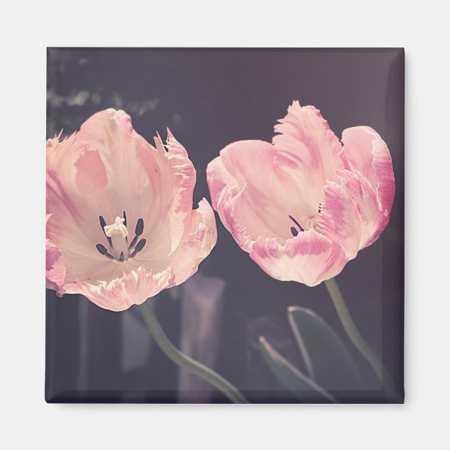 Tulip Nature Photo Magnet (Front)