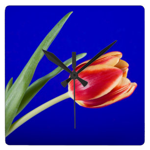 Tulip on blue background square wall clock