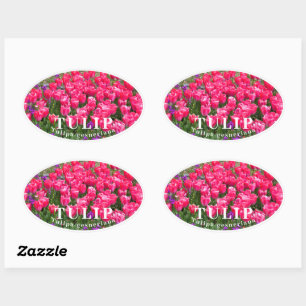Tulip Oval Sticker