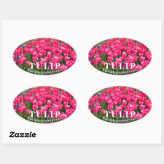Tulip Oval Sticker (Sheet)