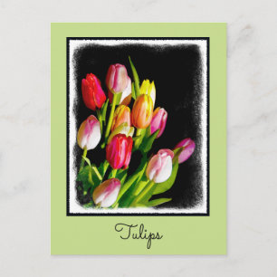 Tulip Painting - Original Flower Art Postcard