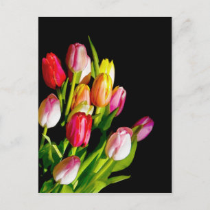 Tulip Painting - Original Flower Art Postcard