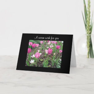 Tulip patch birthday wish card