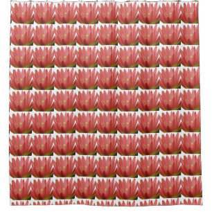 Tulip Pattern