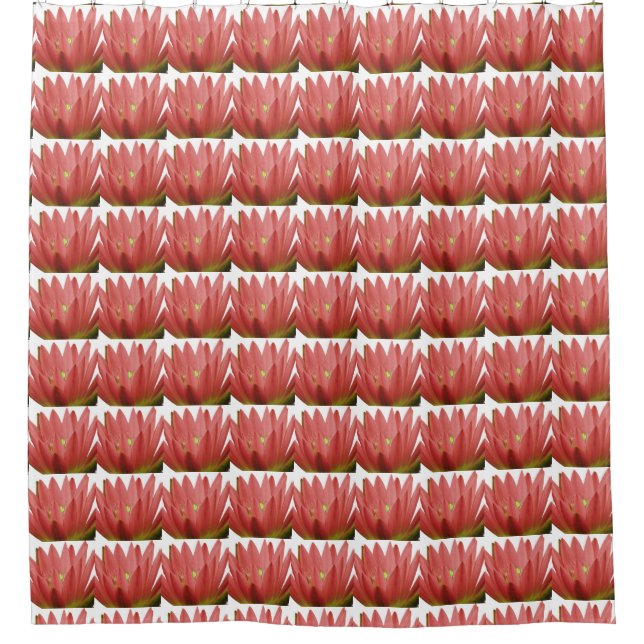 Tulip Pattern (Front)