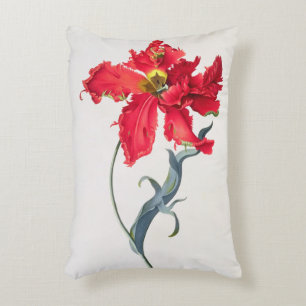 Tulip: Perroquet Rouge Accent Pillow