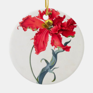 Tulip: Perroquet Rouge Ceramic Ornament
