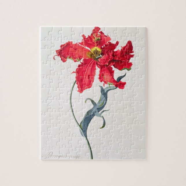 Tulip: Perroquet Rouge Jigsaw Puzzle (Vertical)