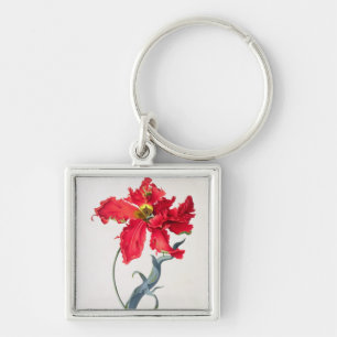 Tulip: Perroquet Rouge Keychain