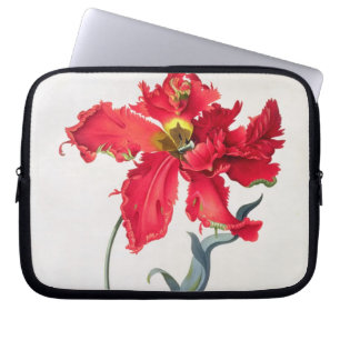 Tulip: Perroquet Rouge Laptop Sleeve