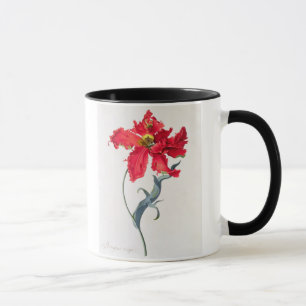 Tulip: Perroquet Rouge Mug