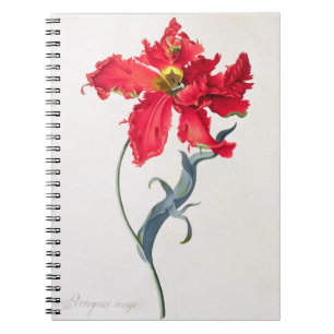 Tulip: Perroquet Rouge Notebook