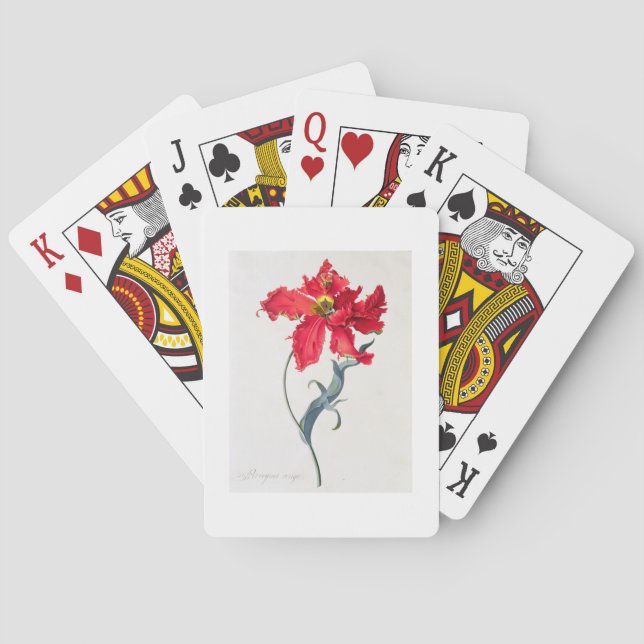 Tulip: Perroquet Rouge Playing Cards (Back)