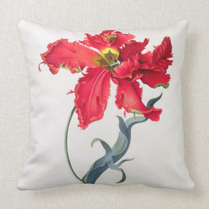 Tulip: Perroquet Rouge Throw Pillow