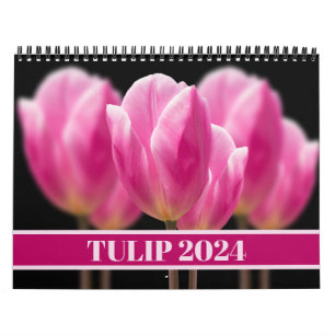 Tulip Pink Rose Beautiful Holland Floral 2025  Calendar
