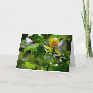Tulip Poplar Blossom, card