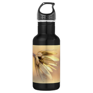 Tulip Poplar Empty Seed Pod 532 Ml Water Bottle