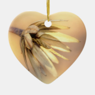 Tulip Poplar Empty Seed Pod Ceramic Ornament