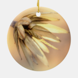 Tulip Poplar Empty Seed Pod Ceramic Ornament