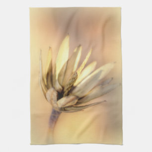 Tulip Poplar Empty Seed Pod Kitchen Towel