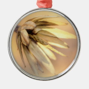 Tulip Poplar Empty Seed Pod Metal Ornament