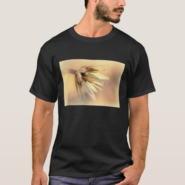 Tulip Poplar Empty Seed Pod T-Shirt (Front)