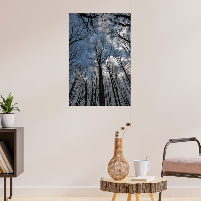 Tulip Poplar Trees Cloudy Blue Sky Poster (Living Room 3)